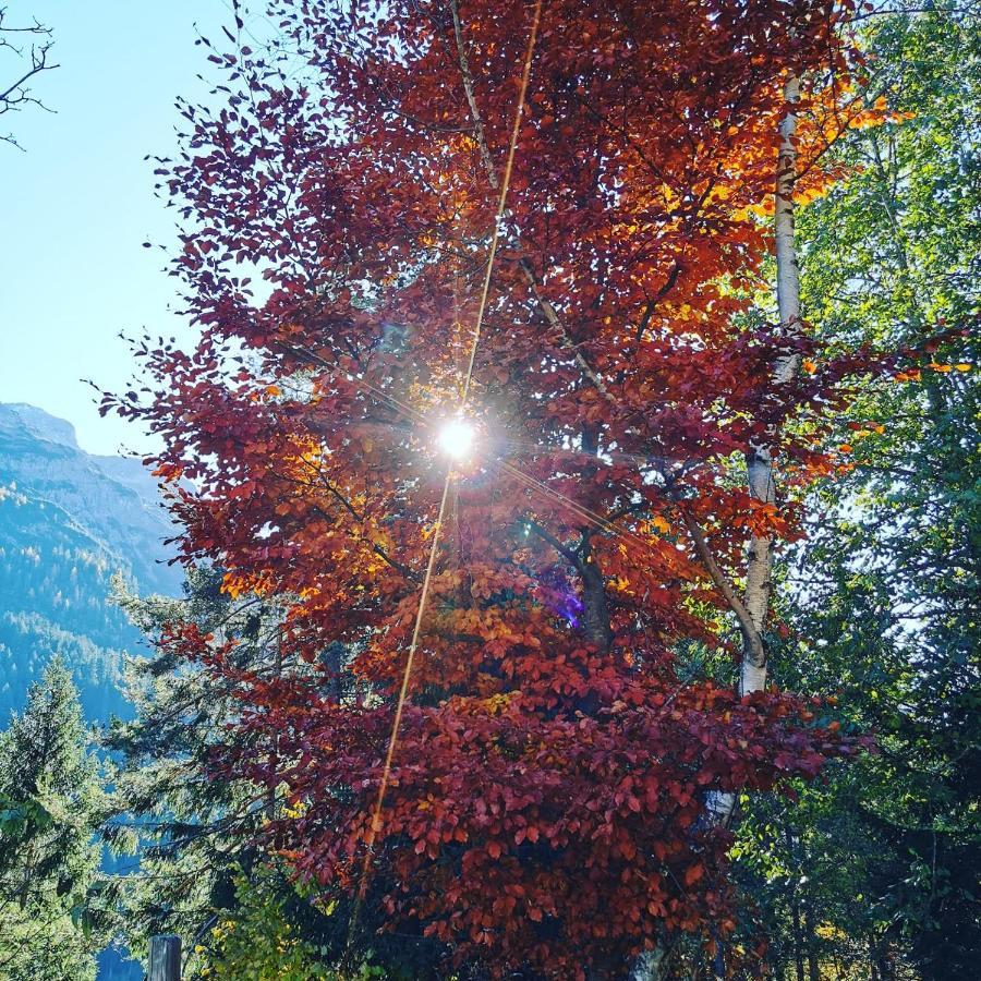 Hinterhornbach Ferienhaus Hochvogel מראה חיצוני תמונה